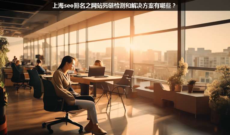 上海seo排名之網站死鏈檢測和解決方案有哪些？