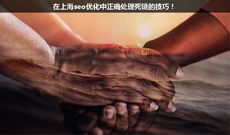 在上海seo優(yōu)化中正確處理死鏈的技巧！